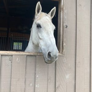 Meet your Posher, Kendall